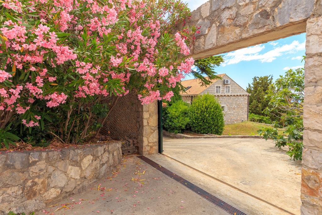 Hedera Estate, House Hedera V Villa Dubrovnik Exteriör bild